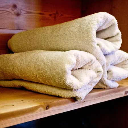 Waldesruh/halseralm Guest house Schladming