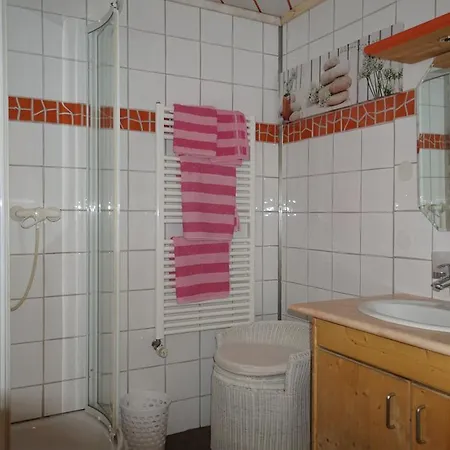 Waldesruh/halseralm Schladming