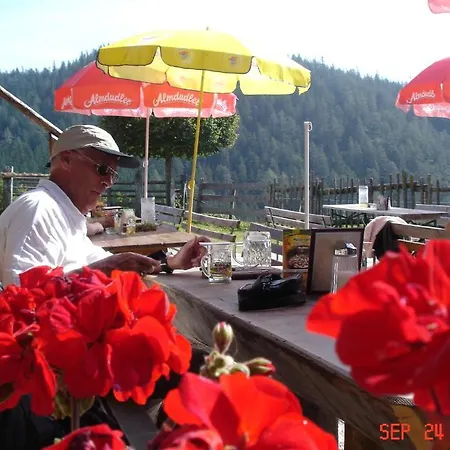 Guest house Waldesruh/halseralm *