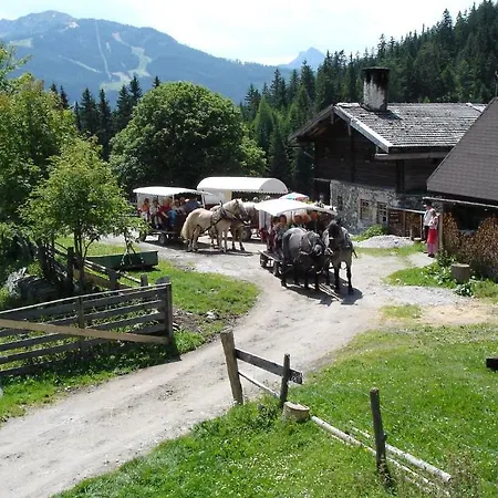 Waldesruh/halseralm * Schladming