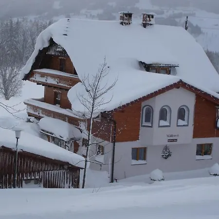 Waldesruh/halseralm Schladming