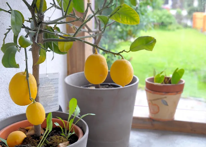 Πανσιόν Waldesruh/halseralm