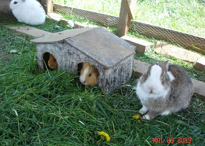 Waldesruh/halseralm Πανσιόν 3*